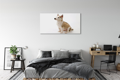 Canvas print Sitting small dog