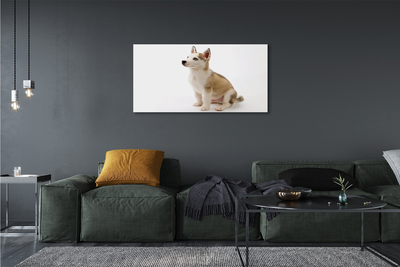 Canvas print Sitting small dog