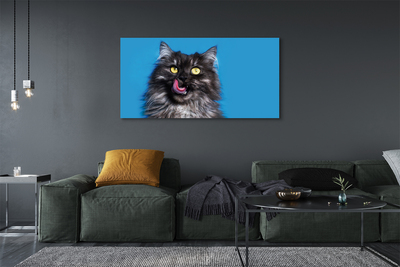Canvas print Oblizujący cat