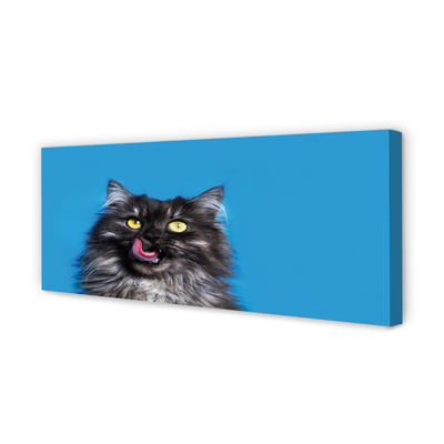 Canvas print Oblizujący cat