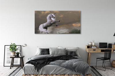 Canvas print Top unicorn