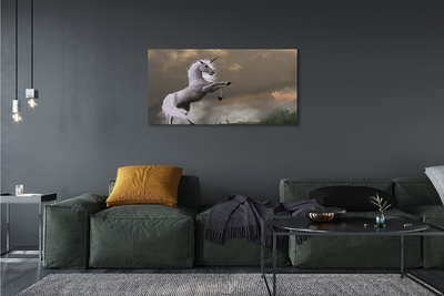 Canvas print Top unicorn