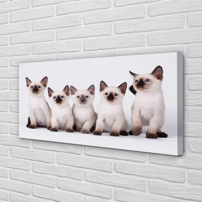 Canvas print Kitten