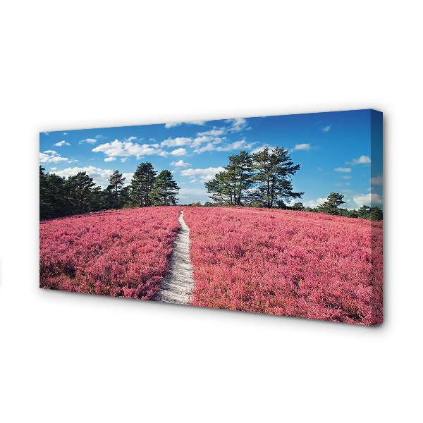 Canvas print Forest heathland