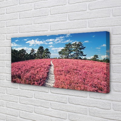 Canvas print Forest heathland