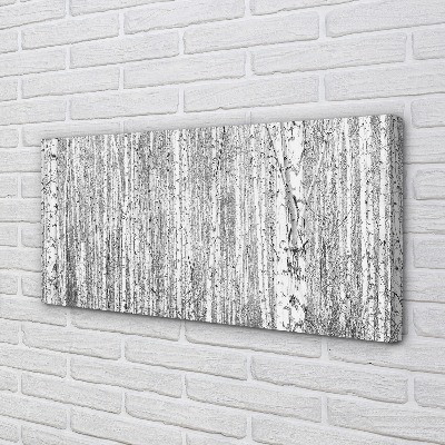 Canvas print Black and white forest