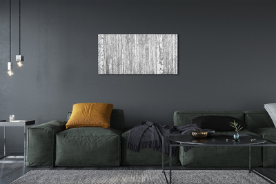 Canvas print Black and white forest