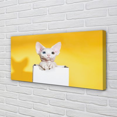 Canvas print Cat seat