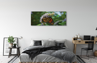 Canvas print Butterfly colored flowers