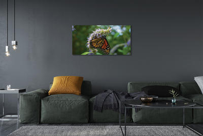 Canvas print Butterfly colored flowers