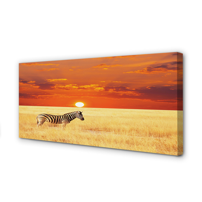 Canvas print Zebra sunset field