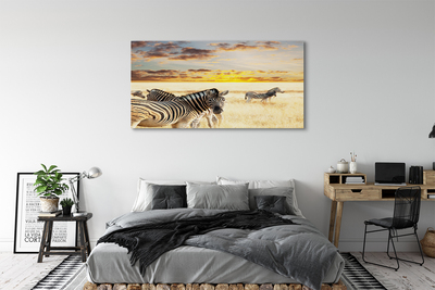 Canvas print Sunset on the field zebra