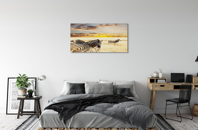 Canvas print Sunset on the field zebra