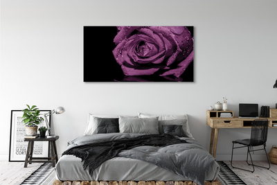 Canvas print Pink purple