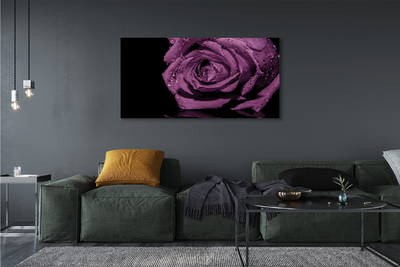 Canvas print Pink purple