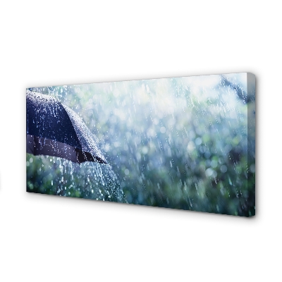 Canvas print Umbrella raindrops