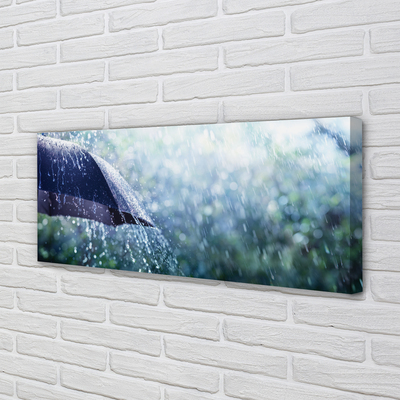 Canvas print Umbrella raindrops