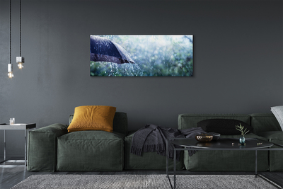 Canvas print Umbrella raindrops