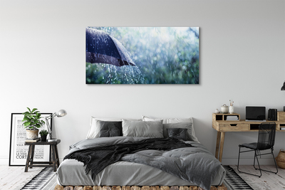Canvas print Umbrella raindrops