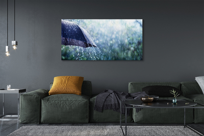 Canvas print Umbrella raindrops