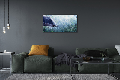 Canvas print Umbrella raindrops