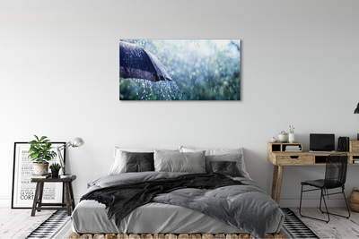 Canvas print Umbrella raindrops
