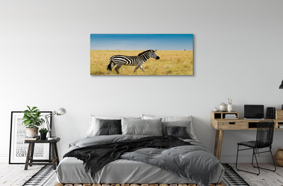 Canvas print Zebra box