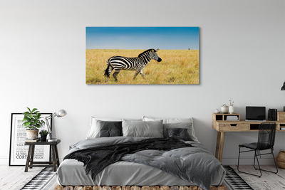 Canvas print Zebra box