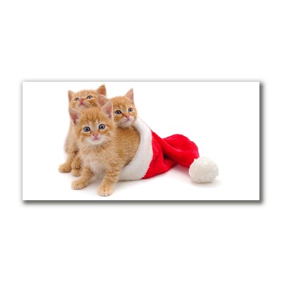 Canvas print Cats Christmas Santa Claus