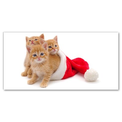 Canvas print Cats Christmas Santa Claus