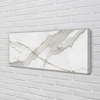 Canvas print Marble spots