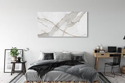 Canvas print Marble spots