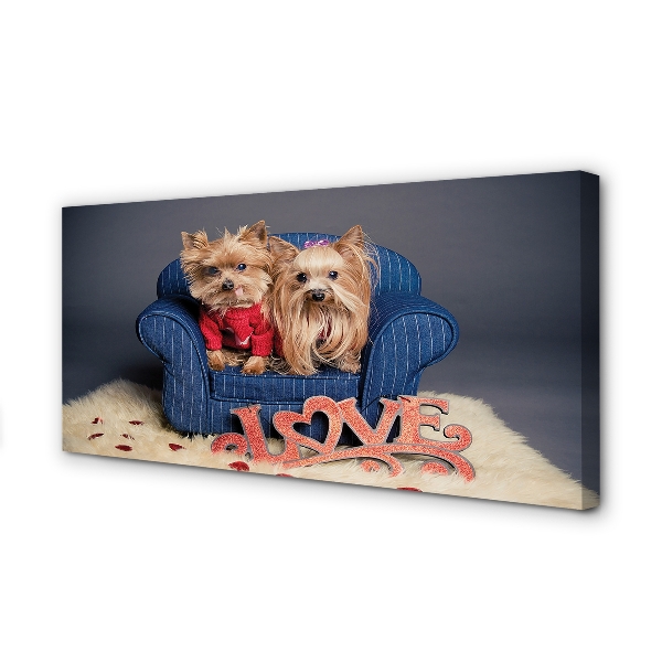 Canvas print Yorkie