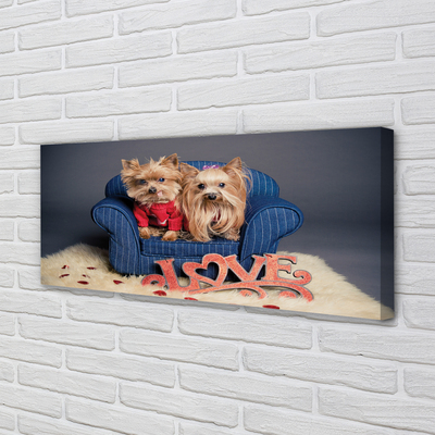 Canvas print Yorkie