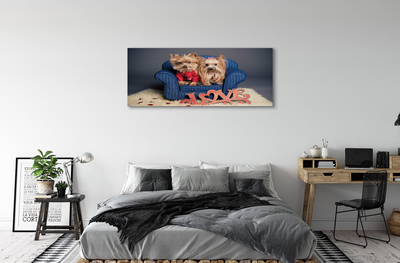 Canvas print Yorkie