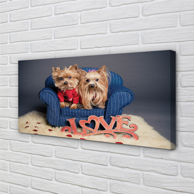 Canvas print Yorkie