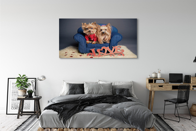 Canvas print Yorkie