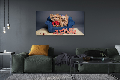 Canvas print Yorkie