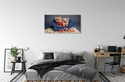 Canvas print Yorkie