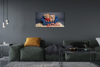 Canvas print Yorkie