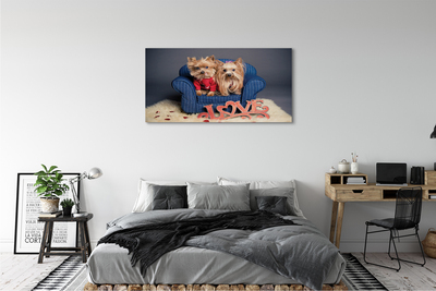 Canvas print Yorkie