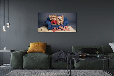 Canvas print Yorkie