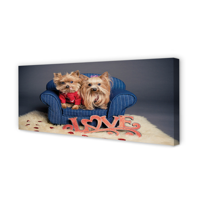 Canvas print Yorkie