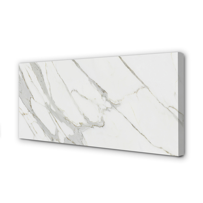 Canvas print Marble spots