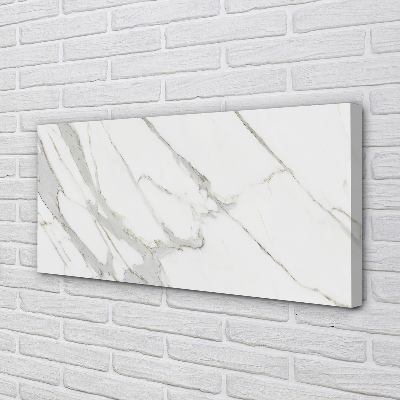 Canvas print Marble spots