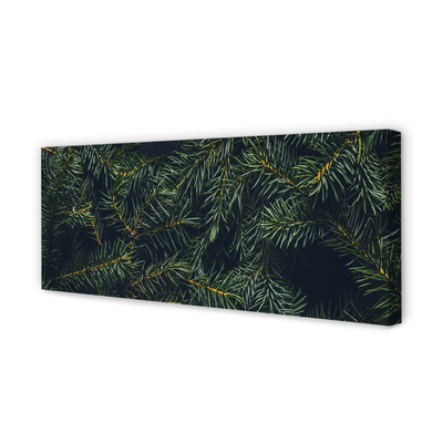 Canvas print Christmas tree branches