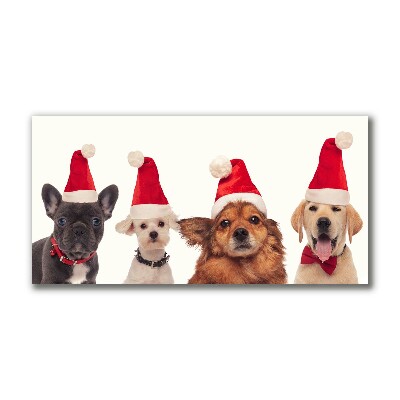 Canvas print Dogs Santa Claus Christmas