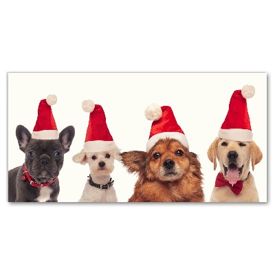 Canvas print Dogs Santa Claus Christmas