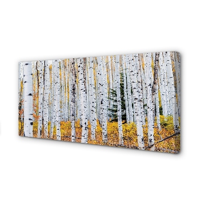 Canvas print Autumn birch