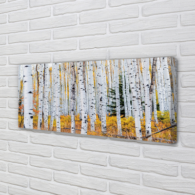 Canvas print Autumn birch